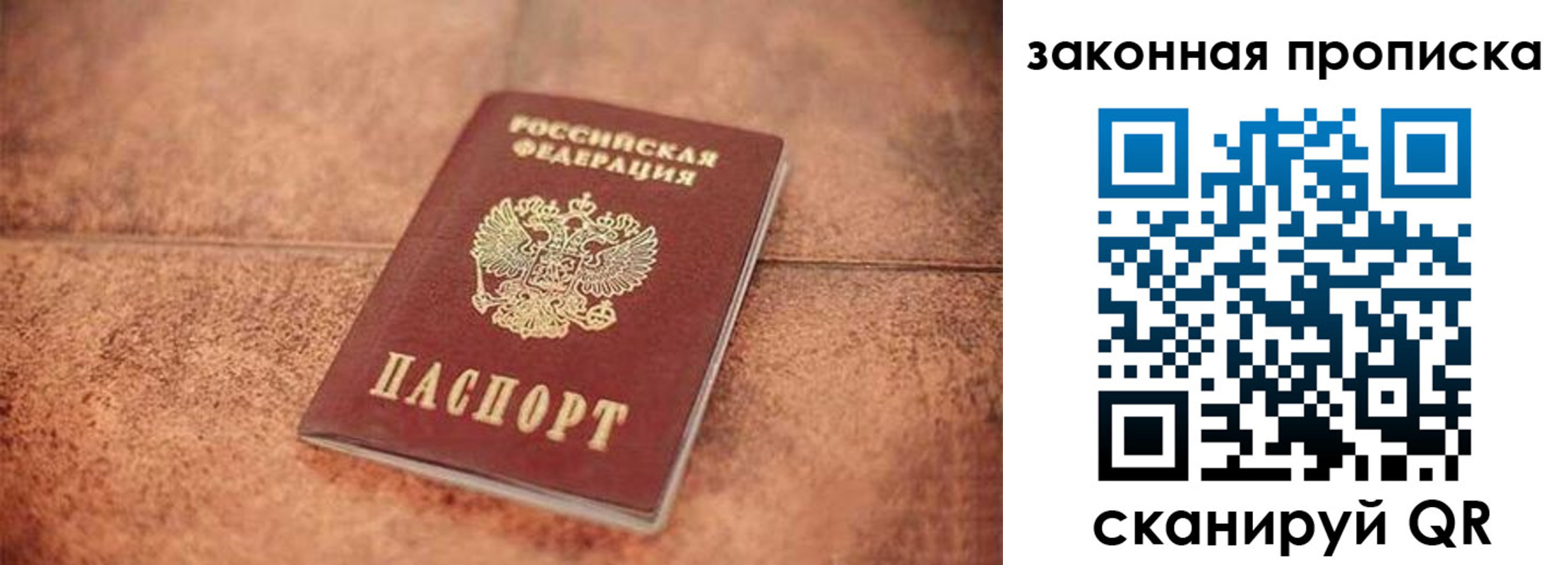 временная прописка в Ельне